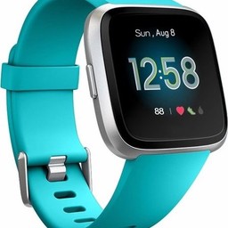 Fitbit Versa Sport Strap - Mint