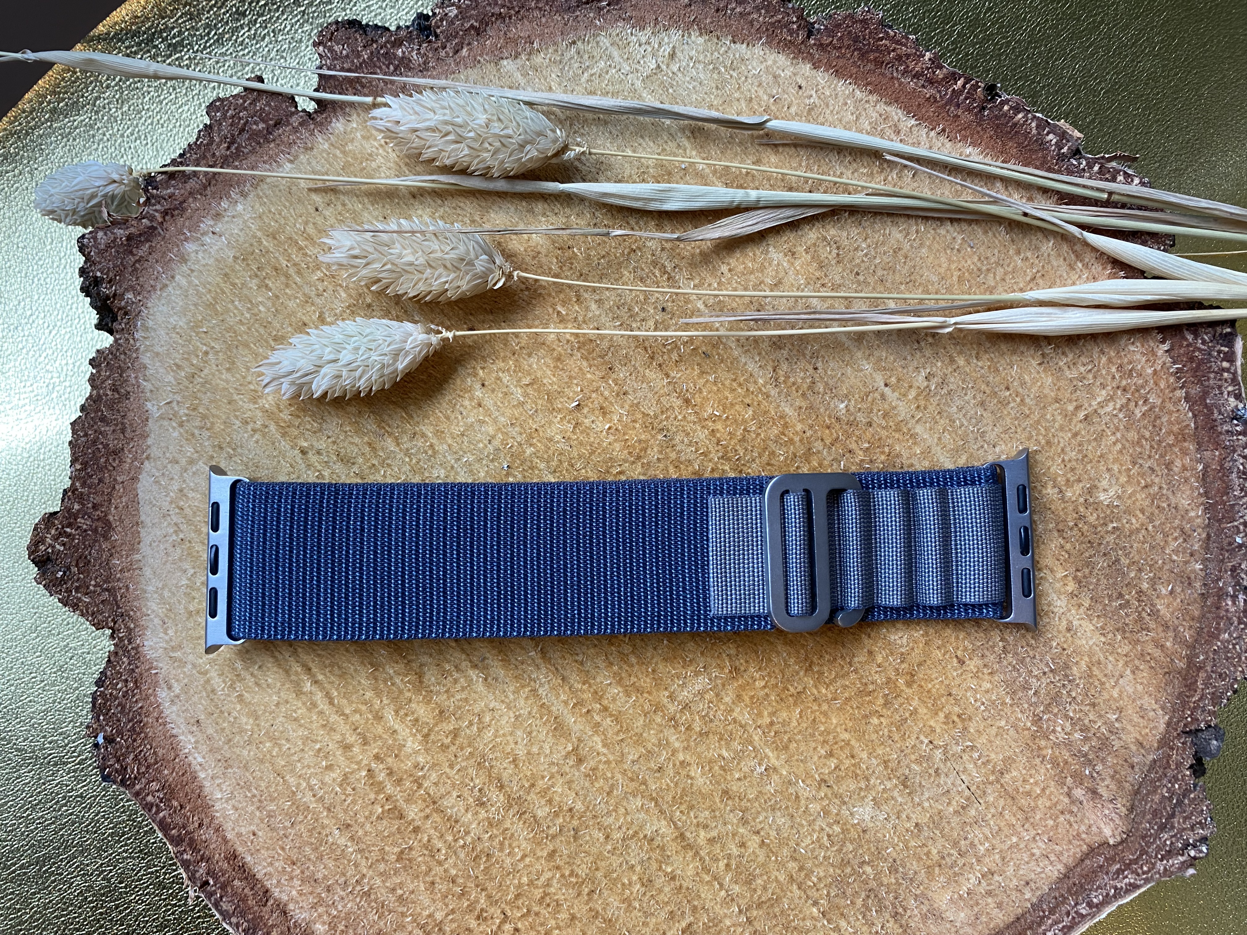 Apple Watch Nylon Alpine Strap - Blue